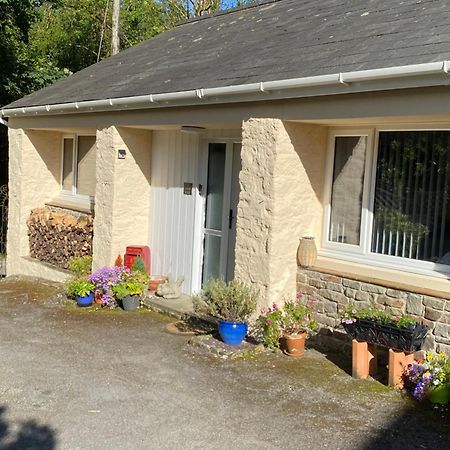 Beautiful Renovated Former Coach House Llandeilo Eksteriør bilde